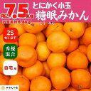 【ふるさと納税】熟成 みかん とにかく 小玉 箱込7.5kg ( 内容量 6.8kg ) 2Sサイズ以下 秀品 優品 混合 有田みかん 和歌山産 産地直送 家庭用 【みかんの会】 | 和歌山 フルーツ 果物 くだもの かんきつ 柑橘 柑橘類 みかんの会 送料込み 送料無料