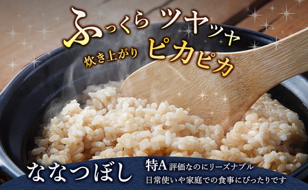 ななつぼし 玄米 北海道産 ななつぼし【10kg(5kg×2袋)】【3ヵ月定期便】令和8年産