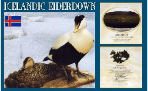 【掛け布団】アイダーダウン 羽毛布団（セミダブル：170cm×210cm）【羽毛ファクトリーすやすや】｜アイスランド産アイダーダックダウン100％ 掛けふとん 羽毛ふとん