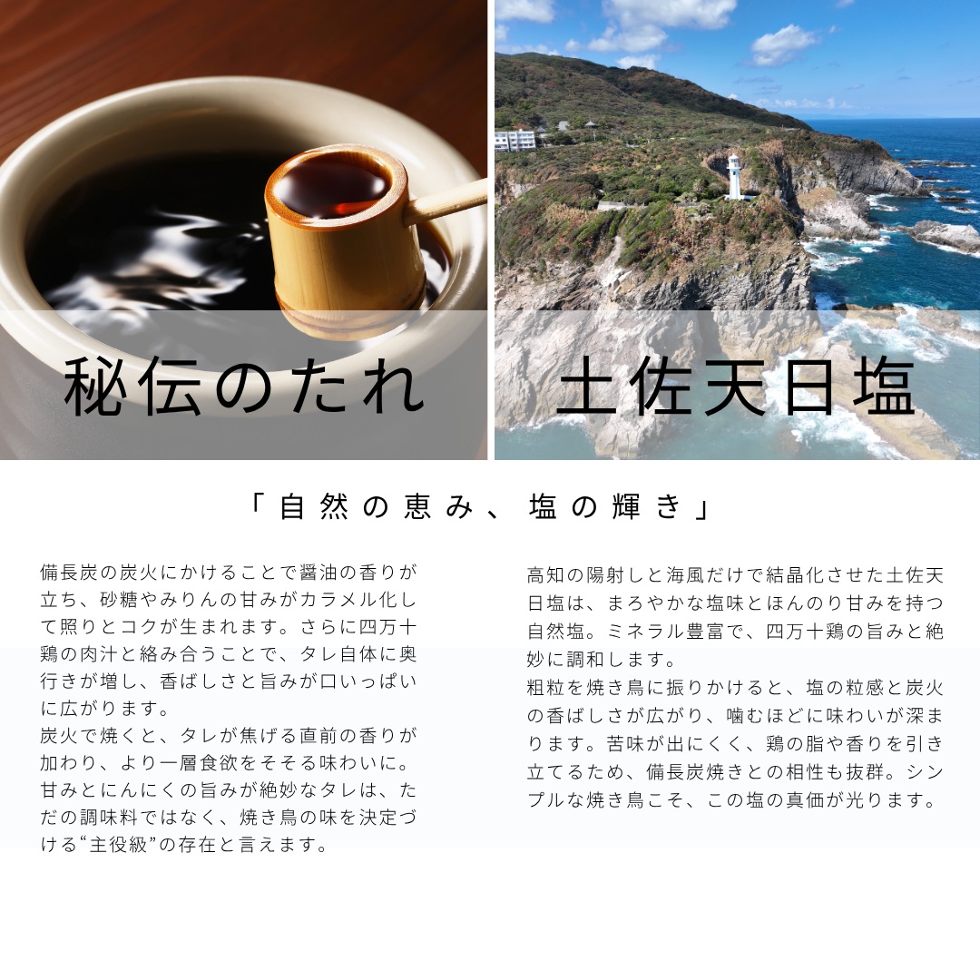 土佐備長炭焼き 四万十鶏の焼き鳥 50本 塩 たれ もも肉 冷凍 惣菜 調理済み【R01444】