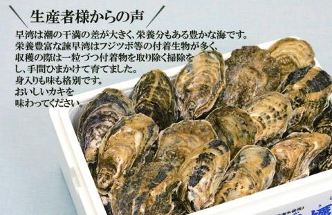 小長井牡蠣（殻付き）3kg 牡蠣ナイフ付き / かき カキ 牡蠣 海鮮 / 諫早湾漁業協同組合 [AHBJ005]