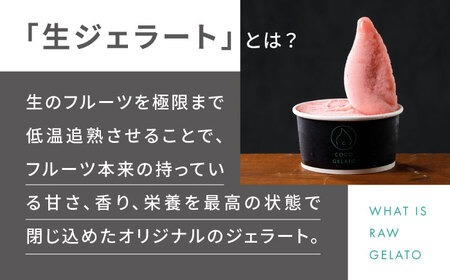 糸島 フルーツ 生ジェラート 9個セット 糸島市 / COCO GELATO [AON001] ジェラート フルーツ 果物 アイス アイスクリーム 濃厚