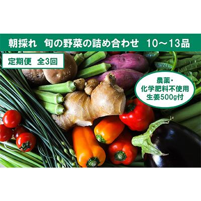 ふるさと納税 香美市 【毎月定期便】旬の野菜と栽培期間中農薬不使用の生姜付き全3回