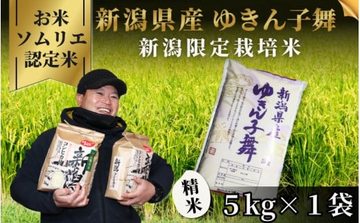 令和6年産新米【お米ソムリエのお米】ゆきん子舞 精米 5kg（5kg×1袋）五泉市四ヶ村産 米 お米 新潟県 五泉市 エバーグリーン農場 [2024年11月以降順次発送]