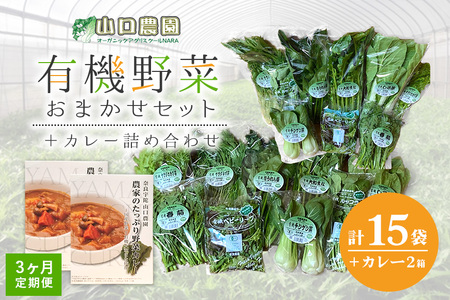 定期便 ３ヶ月 山口農園 有機野菜 おまかせセット＋カレー２箱 詰合せ 冷蔵 月１回 ／ふるさと納税 山口農園 有機野菜 伝統野菜 オーガニック ベジタリアン 定期便 カレー  野菜セット 農家直送  詰め合わせ 奈良県 宇陀市 