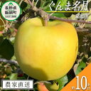 【ふるさと納税】 りんご ぐんま名月 家庭用 10kg ファームトヤ 沖縄県への配送不可 令和6年度収穫分 長野県 飯綱町 〔 信州 果物 フルーツ リンゴ 林檎 名月 長野 予約 農家直送 〕発送時期：2024年11月中旬～2024年12月下旬 {**}