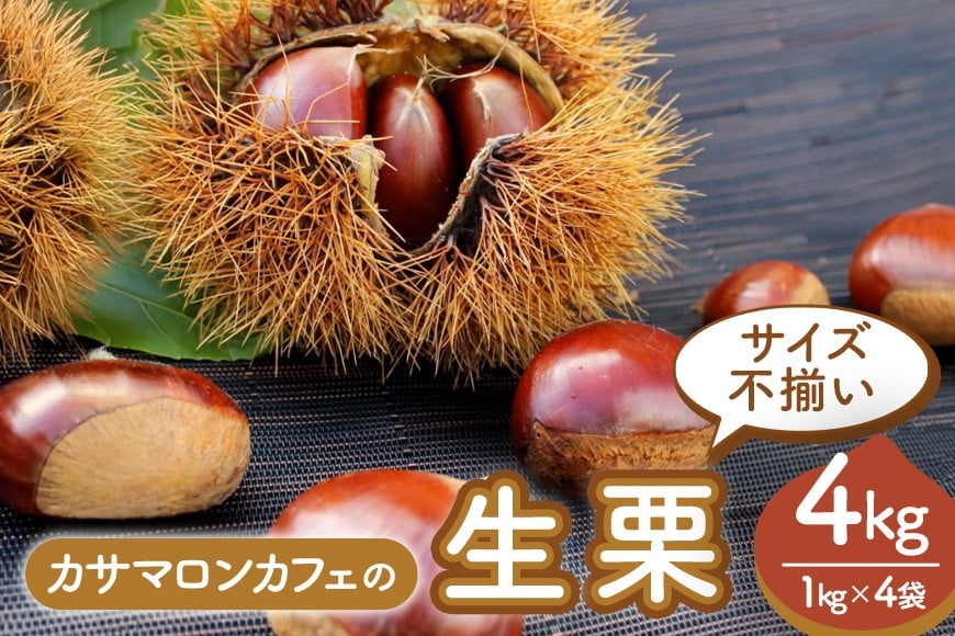 
            【2025年 秋 出荷】生栗 1kg×4袋 4kg サイズ不揃い 数量限定 くり クリ 笠間の栗 栗ごはん カサマロン 国産  先行予約 モンブラン 栗きんとん 冷蔵 笠間市
          