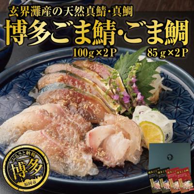 ふるさと納税 福岡市 長浜市場水揚げ天然　ごま鯖&amp;ごま鯛(各2パック) JX12