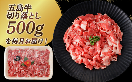 【全3回定期便】【幻の和牛を様々なお料理で！】五島牛 切り落とし 約500g 3～4人前【カミティバリュー】[RBP076] 肉 牛 牛肉 和牛 五島牛 切り落とし 定期便 肉 牛 牛肉 和牛 五島牛