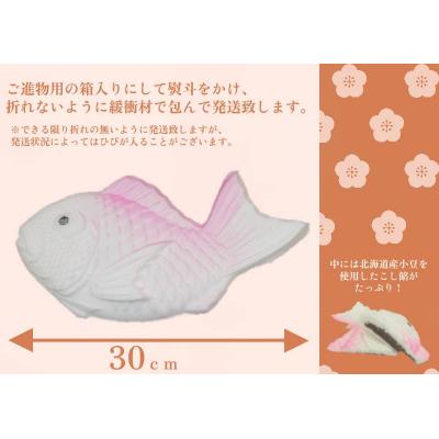 ふるさと納税 七宗町 落雁尺鯛 30cm らくがん 和菓子工房　松栄堂 |  | 01
