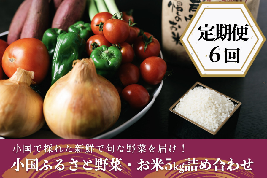 
            【定期便6回】阿蘇小国産・旬の野菜とお米5kgの詰め合わせ
          
