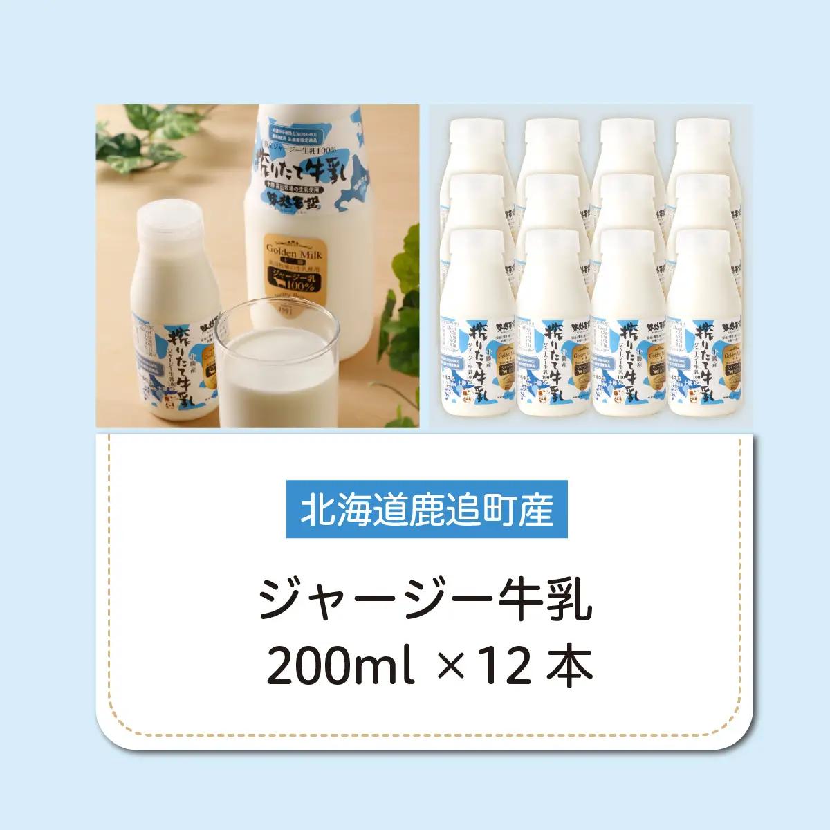 ジャージー牛乳 200ml ×12 SKM054