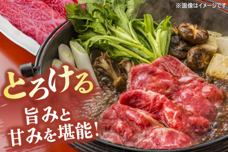 佐賀牛 サーロインステーキ200g×5枚計1000g すきやき用切落250g×4パック計1000g【佐賀牛 サーロイン ステーキ すきやき 切落し 高級部位 赤身肉 霜降り 小分け】(H122124)