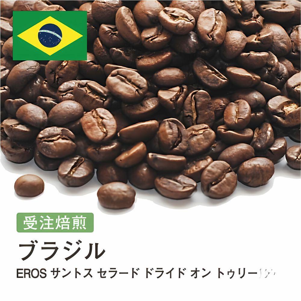 【ふるさと納税】コーヒー豆 #241 ブラジル EROS サントス セラード ドライド オン トゥリー 受注焙煎！310g 珈琲豆 自家焙煎 | 珈琲 飲料 コーヒー豆 ソフトドリンク 人気 おすすめ 送料無料