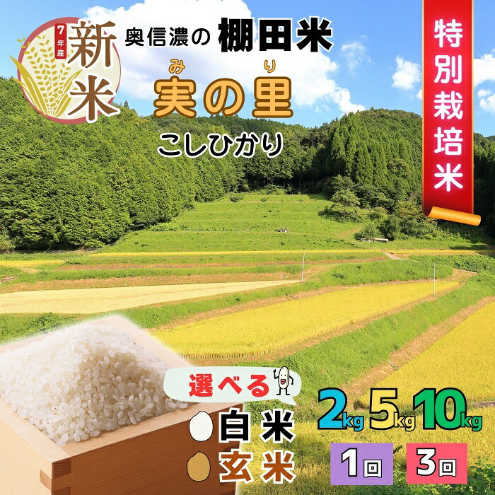 【ふるさと納税】令和7年産 新米 コシヒカリ 特別栽培米 選べる 白米 玄米 2kg 5kg 10kg 1回 3回 単品 定期便 奥信濃の棚田米 実の里 【 長野県 飯山市 信州 美味しい お米 白米 新米 精米 ごはん ご飯 こしひかりみのり お試し】7-18