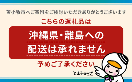 ぬいぐるみ L 両手上げ T042-026 とまチョップ キャラクター ご当地 苫小牧観光協会 ふるさと納税 北海道 苫小牧市 おすすめ ランキング プレゼント ギフト