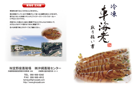 【養殖場から直送】活き〆急速冷凍車えび　2Lサイズ　約1kg（28～32尾/500g×2P）