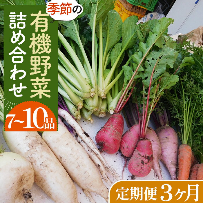 【ふるさと納税】【有機野菜の定期便3ヶ月】ガバレ農場の季節の有機野菜詰め合わせセット［No.527］