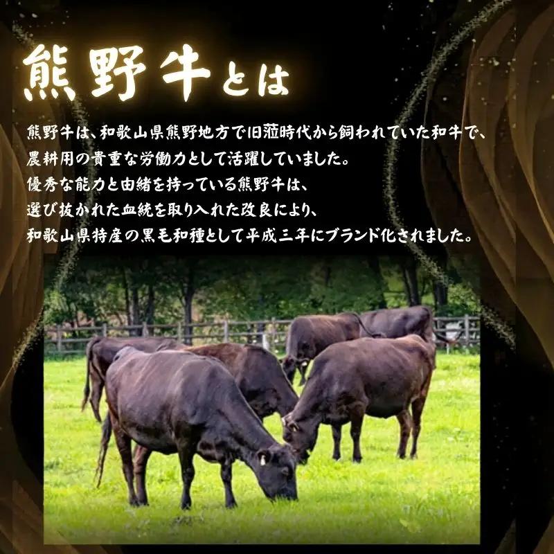 【熊野牛】みすじステーキ　約120g×2枚 / 和歌山 田辺市 本宮 肉 牛肉 熊野牛 和牛 みすじ ステーキ 希少部位 豪華 冷凍 ギフト 贈答【hcy014】