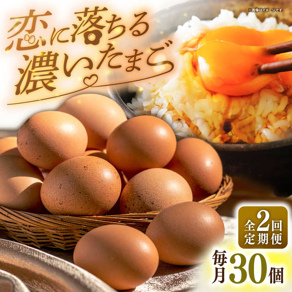 【ふるさと納税】【全2回定期便】特選 素直な恋たまご 30個 《壱岐市》【しまのたまご屋さん】[JAP018] たまご 卵 玉子 鶏卵 国産鶏 もみじ 国産 プレゼント ギフト 冷蔵配送 20000 20000円 2万円