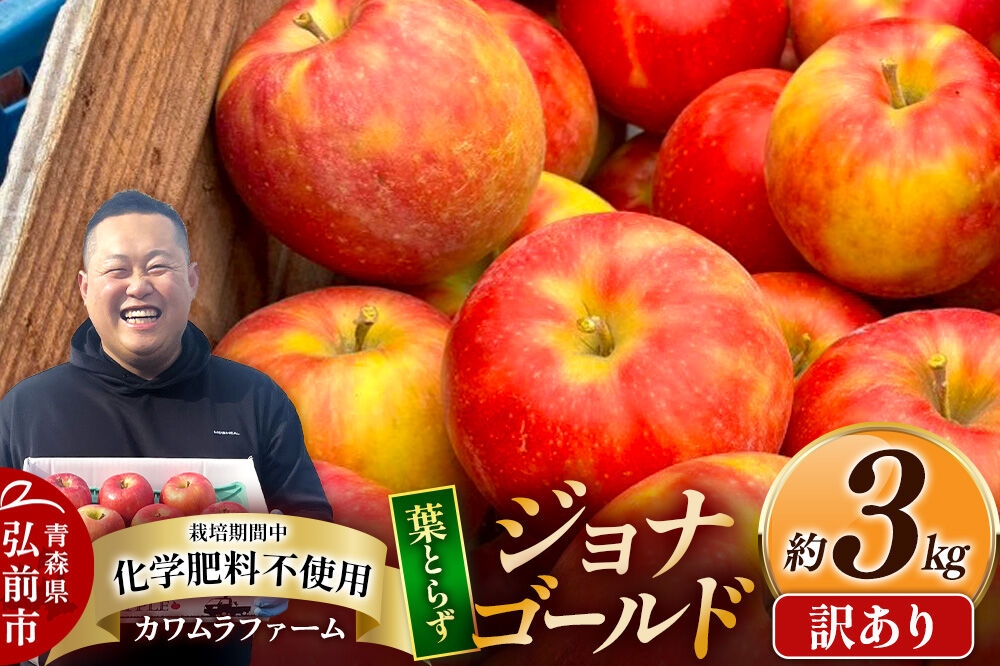
                  【26年10月発送】りんご 葉とらず ジョナゴールド【訳あり】約3kg カワムラファーム 青森県 弘前市 [果物 フルーツ 林檎 リンゴ くだもの 不揃い 規格外] [u9]
                