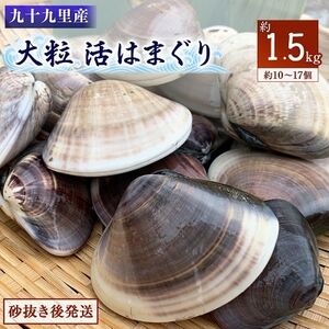 大粒活はまぐり 約1.5kg 【某TV番組で全国1位になった大粒活はまぐり】 九十九里産  国産 はまぐり はまぐり はまぐり はまぐり はまぐり