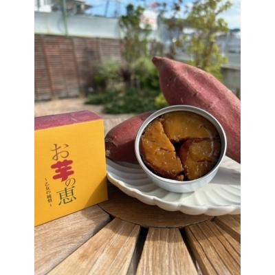 ふるさと納税 八尾市 お芋の恵 100g×6缶(A305)