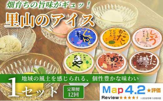 里山のアイス 72個 100ml×6個×12回定期便 アイスクリーム シャーベットアイス 人気 ご当地アイス 高知県 なす 焼きナス かぼちゃ 焼き芋 焼きいも お茶 黒糖 しょうが お菓子 スイーツ デザート カップアイス ジェラート 手作り ホームパーティー バラエティ お取り寄せ おもてなし 詰め合わせ 贈り物 贈答 冷凍 ギフト プレゼント ロングセラー リピート 安芸市 高知県