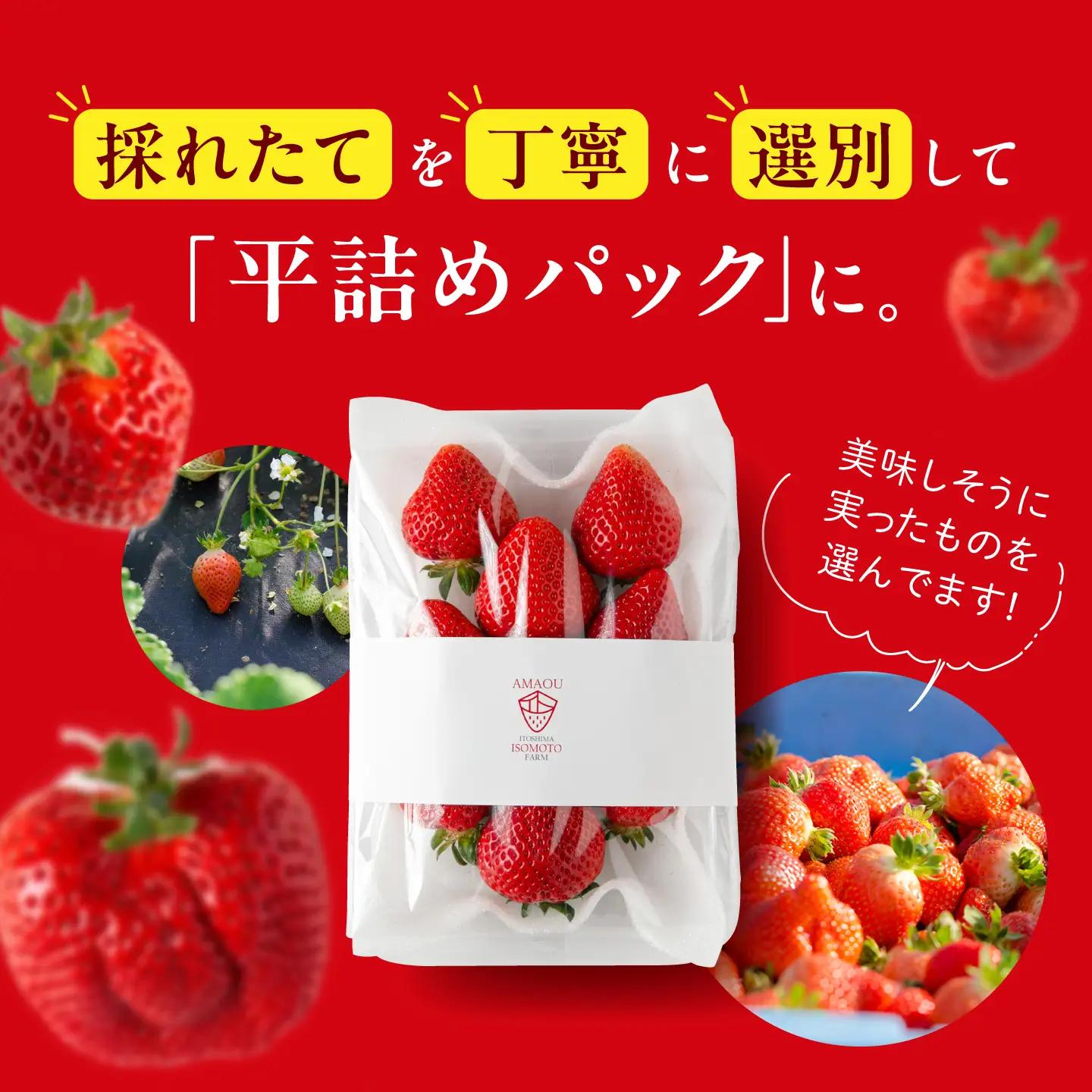 あまおう 【2027年1〜2月配送】糸島 あまおう 270g×4P [ATB004] 