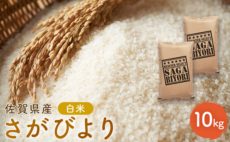 新米 先行予約 さがびより 佐賀県産 白米 10kg (5kg×2) 五つ星お米マイスター厳選 米 ※配送不可：離島