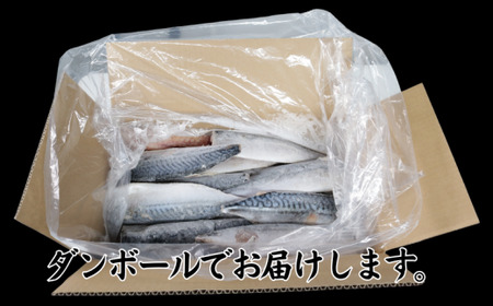 訳あり 食塩不使用 さば 3.5kg 【12月以降配送】 さば