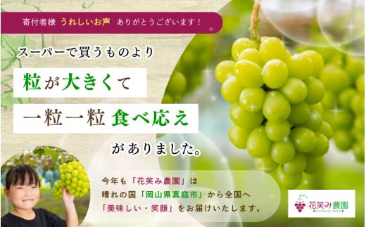【2026年先行予約】ぶどう 岡山 花笑み農園 『シャインマスカット』約2kg（3～4房） 贈答用 岡山 真庭 シャインマスカット 高級 2kg 贈答 2026 真庭市 大粒 葡萄 果物 フルーツ シ