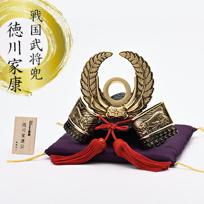 【ふるさと納税】銀雅堂 徳川家康公兜 置物 戦国武将 お土産 ギフト 初節句 男の子 グッズ インテリア 民芸品 工芸品 伝統技術 人形
