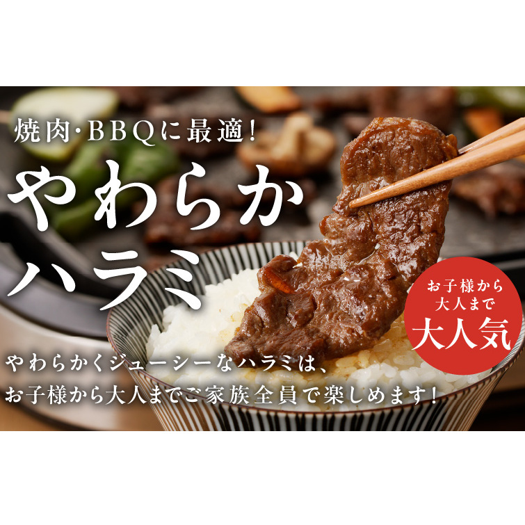 【氷温熟成×特製旨ダレ】やわらかハラミ 1.5kg 特製旨タレ漬け 味付き 訳あり 不揃い mrz0001_イメージ2