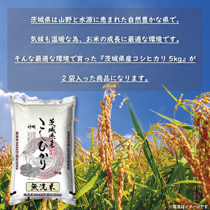 令和6年産無洗米茨城コシヒカリ5kg×2【お米 こめ 米 こしひかり 無洗米 茨城県 茨城県産】（LL-2）