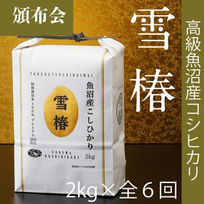 ふるさと納税 津南町 【毎月定期便】高級魚沼産コシヒカリ「雪椿」精米 2kg(2kg×1袋) 特別栽培米全6回