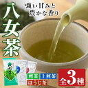 【ふるさと納税】福岡県産八女煎茶とティーバッグ(上煎茶・ほうじ茶)詰め合わせ(計605g) お茶 緑茶 八女茶 小分け 常温 常温保存【ksg0215】【お茶の星陽園】