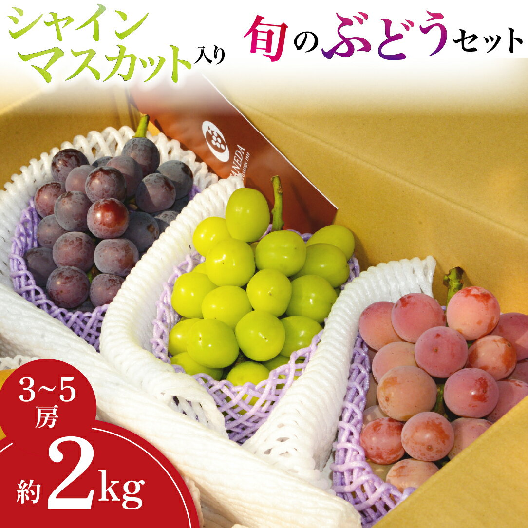 【ふるさと納税】【産地直送】シャインマスカット等の旬のぶどう詰め合わせ 2kg（シャインマスカット ぶどう ブドウ 果物 セット 詰め合わせ フルーツ 贈答用 限定）