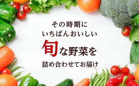 「ベジーズ館」の夏・冬野菜　年２回コース （7月と12月発送）｜【野菜定期便・野菜・定期便・冬野菜・夏野菜・野菜セット・旬の野菜・兵庫野菜・相生野菜・国産野菜・野菜詰め合わせ・冬野菜詰め合わせ・夏野菜