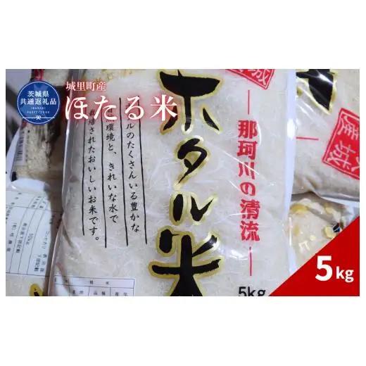 ほたる米 5kg（茨城県共通返礼品・城里町産） / 米 こめ コメ お米 おこめ ほたる米 白米 精米 ごはん ご飯 令和7年産 5kg 茨城県 城里町 利根町