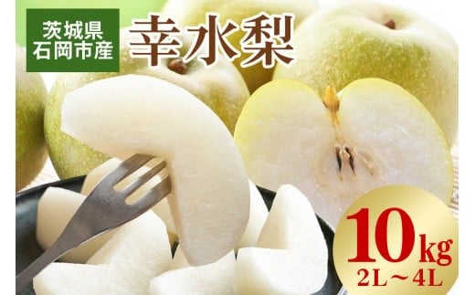 【 2025年 先行予約 】 幸水梨 2L～4L（ 二段 10kg ）梨 約 24玉 ～ 32玉 品種 幸水 なし ナシ 果物 フルーツ 4L 3L 2L サイズ 10キロ 8月 発送 夏 旬 産地直送 農家直送 産直 国産 くだもの 甘い 酸味 茨城県産 茨城県 石岡市 (A15-001)