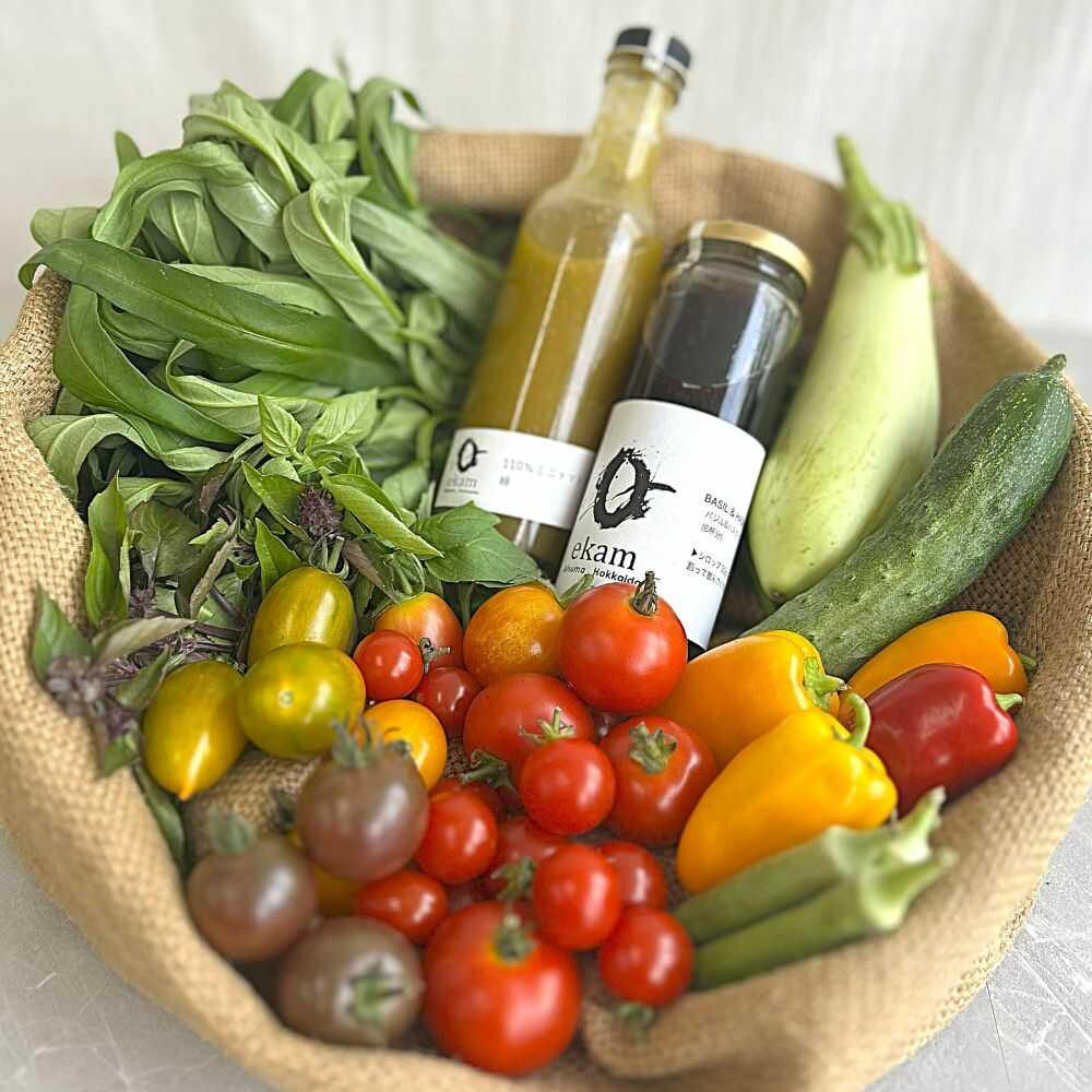 【ふるさと納税】「季節の有機野菜セット」2〜3人分 《厚真町》 【ekam】[AXBV007]