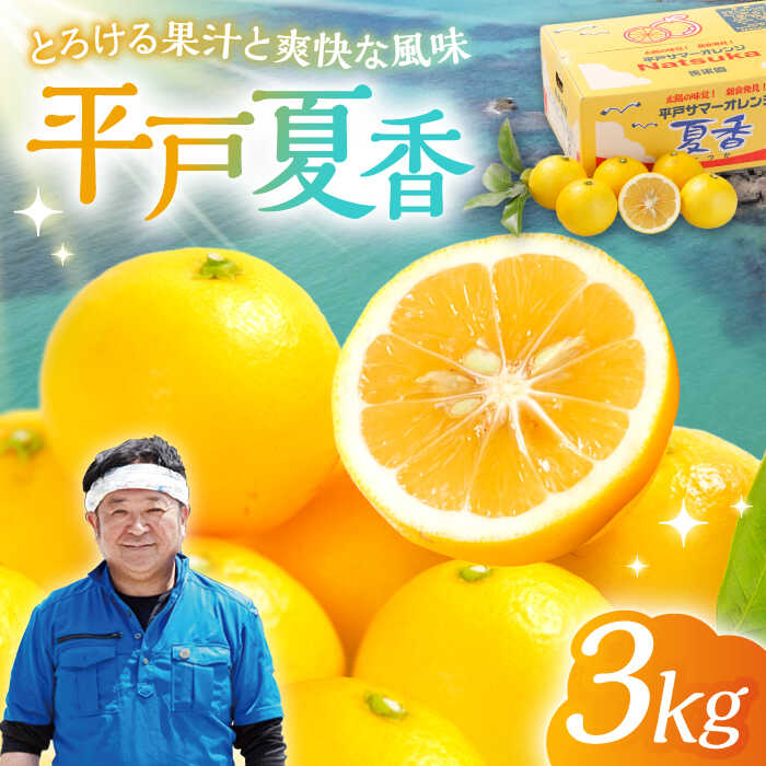 【ふるさと納税】【先行予約】とろける果汁と爽快な風味 平戸夏香【3kg（16個〜25個）】 平戸市/善果園 [KAA322]