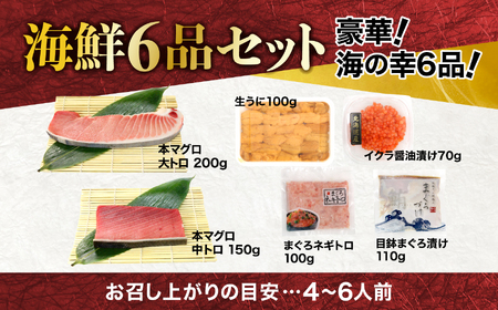 本マグロ 6品 福袋 約630g 海鮮セット うに いくら まぐろ