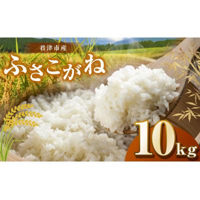ふるさと納税 君津市 【令和7年度産】君津市産ふさこがね　精米　10kg(5kg×2袋)