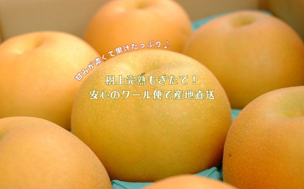 【約3kg】期間限定☆お楽しみ庄内梨　樹上完熟☆自然の恵みいっぱい！＜庄内梨の藤原＞大分県由布市特産品