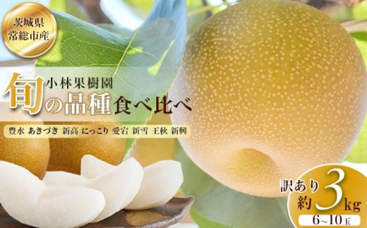 【訳アリ！先行予約】小林果樹園の梨 6～10玉 約3kg｜朝どり みずみずしい 梨 なし ナシ フルーツ 果物 豊水 あきづき 新高 にっこり 愛宕 新雪 王秋 新興 常総市　※2026年9月～発送