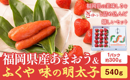 福岡県産あまおうギフト箱 & ふくや味の明太子 540g 南国フルーツ株式会社《12月上旬-3月末頃出荷》福岡県 鞍手町 あまおう いちご めんたいこ 明太子 セット 送料無料