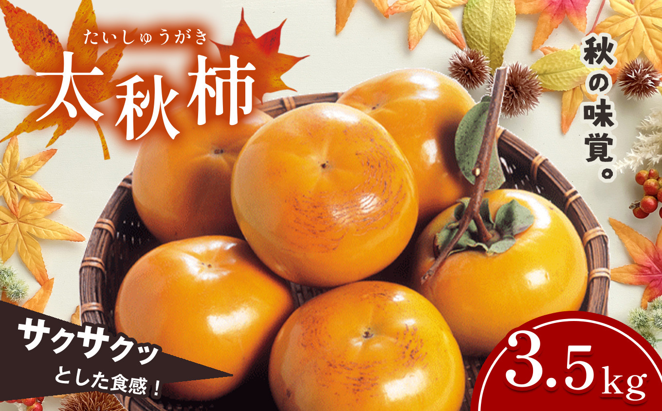 
            太秋柿 3.5kg 箱入り | 果物 くだもの フルーツ 柿 かき カキ 太秋 旬 秋 味覚 熊本県 玉名市
          