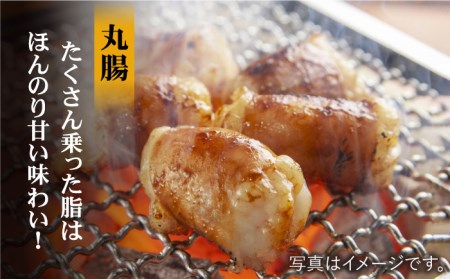 【大容量】ホルモン専門店の豪華！焼き肉5種セット計2kg（和牛ハラミ800g ／ 豚ハラミ・丸腸・小腸・シマ腸 各300g）【三田川ホルモン専門店】 [FAC016]